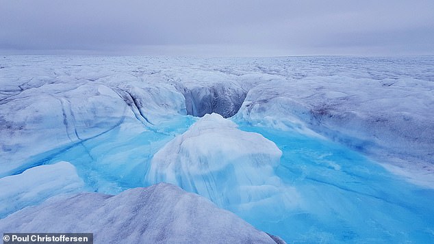 Warning: The Greenland ice sheet (pictured) is melting from the bottom up and is now the biggest contributor to global sea level rise, a new study finds