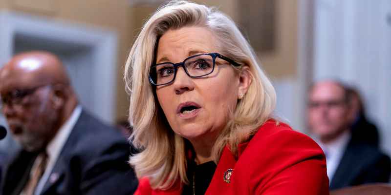Liz Cheney Hopes To Win Over Other Democrats In Her Primary!!