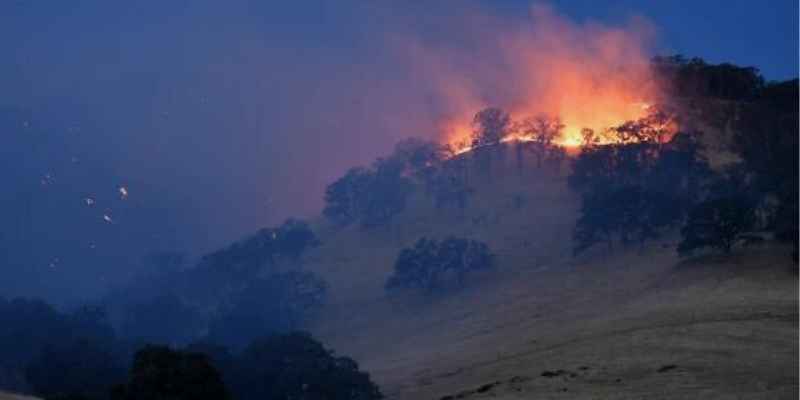 Residents Evacuated For 3 Hours After Fire Broke Out On Albany Hill