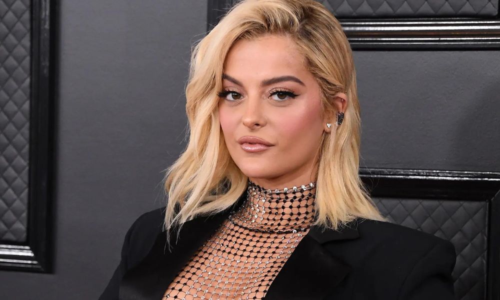 Bebe Rexha Sources of Income
