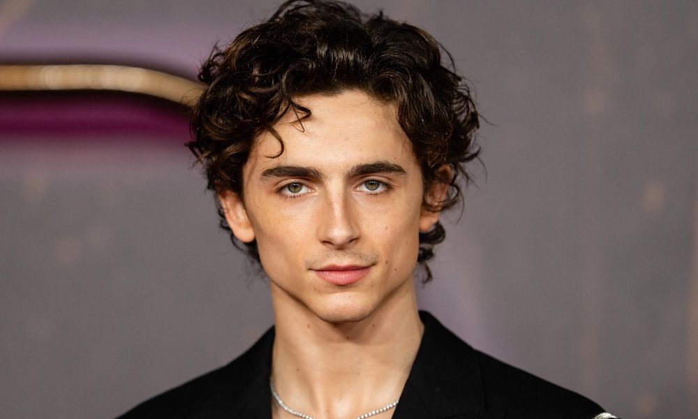 Timothee Chalamet Net Worth- Girlfriend, Age, Career Earnings!