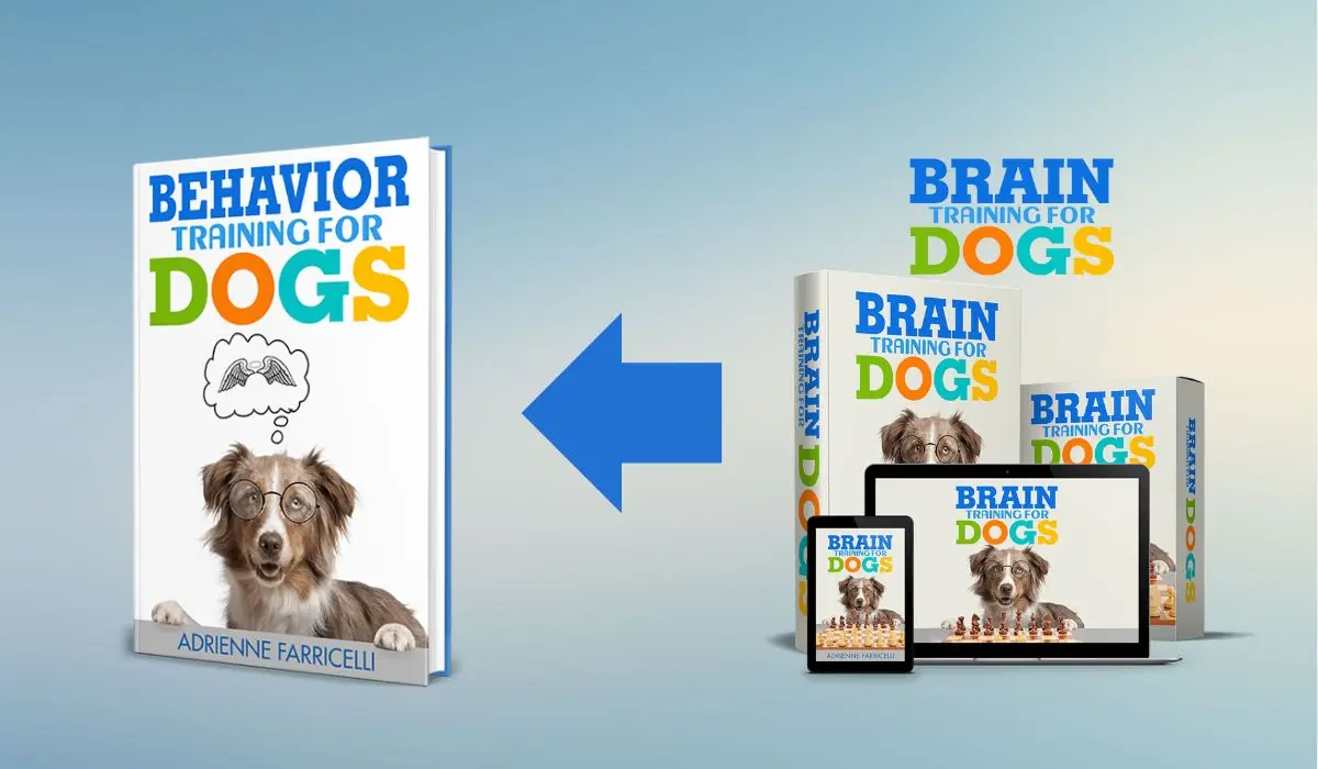 Brain Training For Dogs Bonus