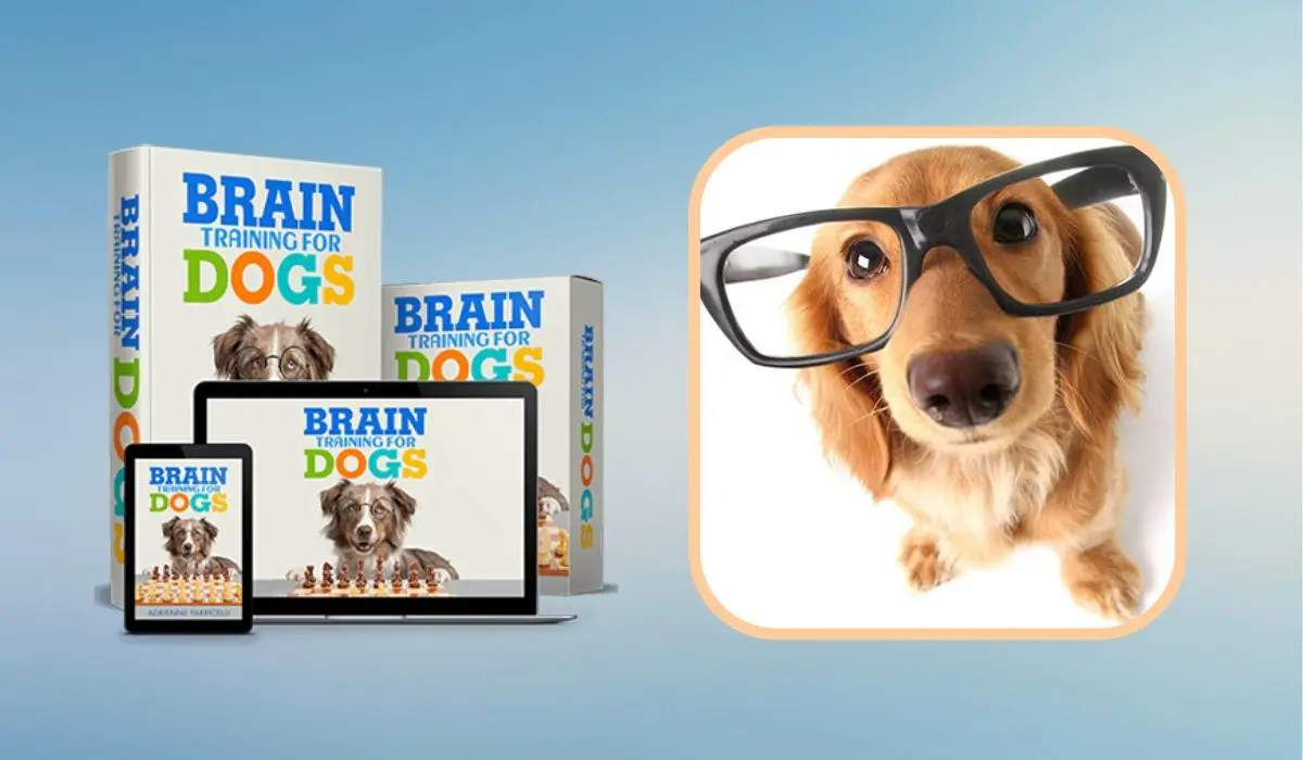 Brain Training For Dogs Review