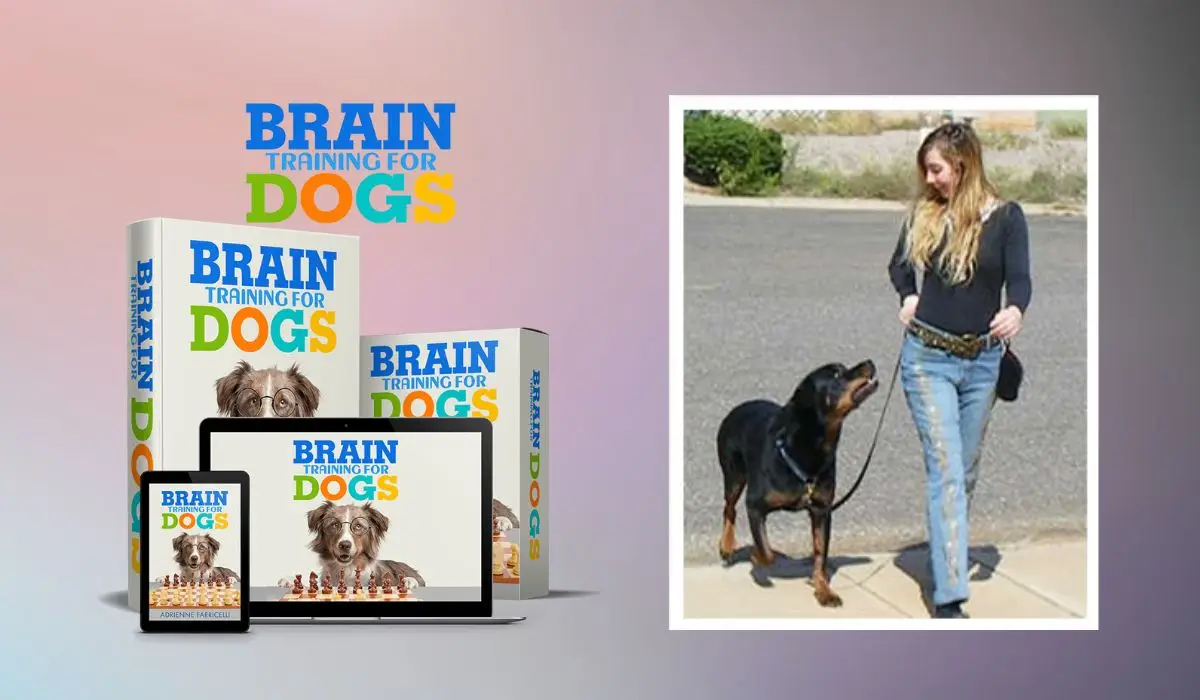 Brain Training For Dogs