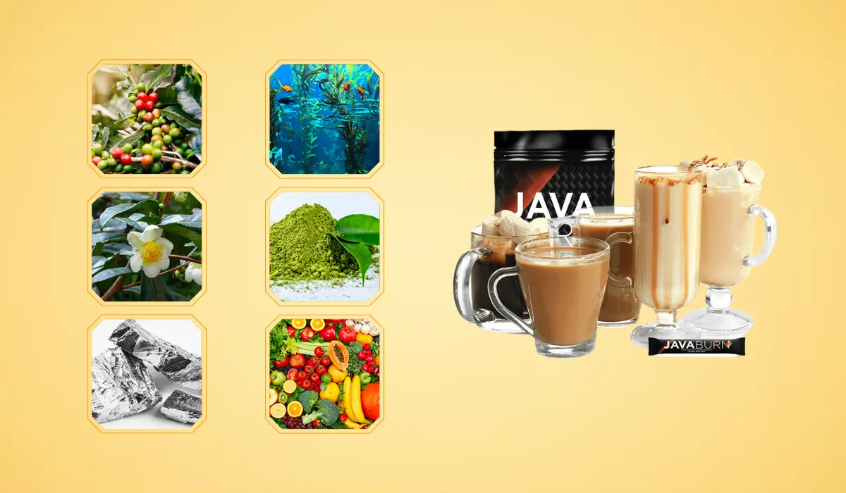 Java Burn Ingredients