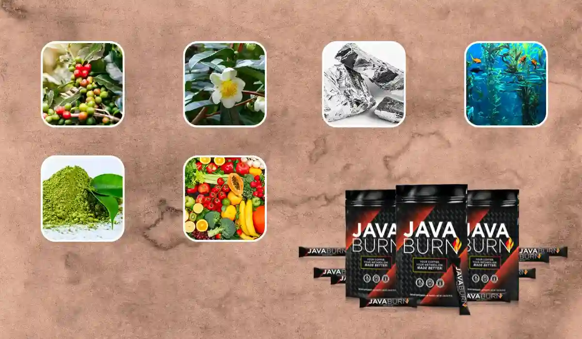 Java Burn Ingredients And Their Benefits