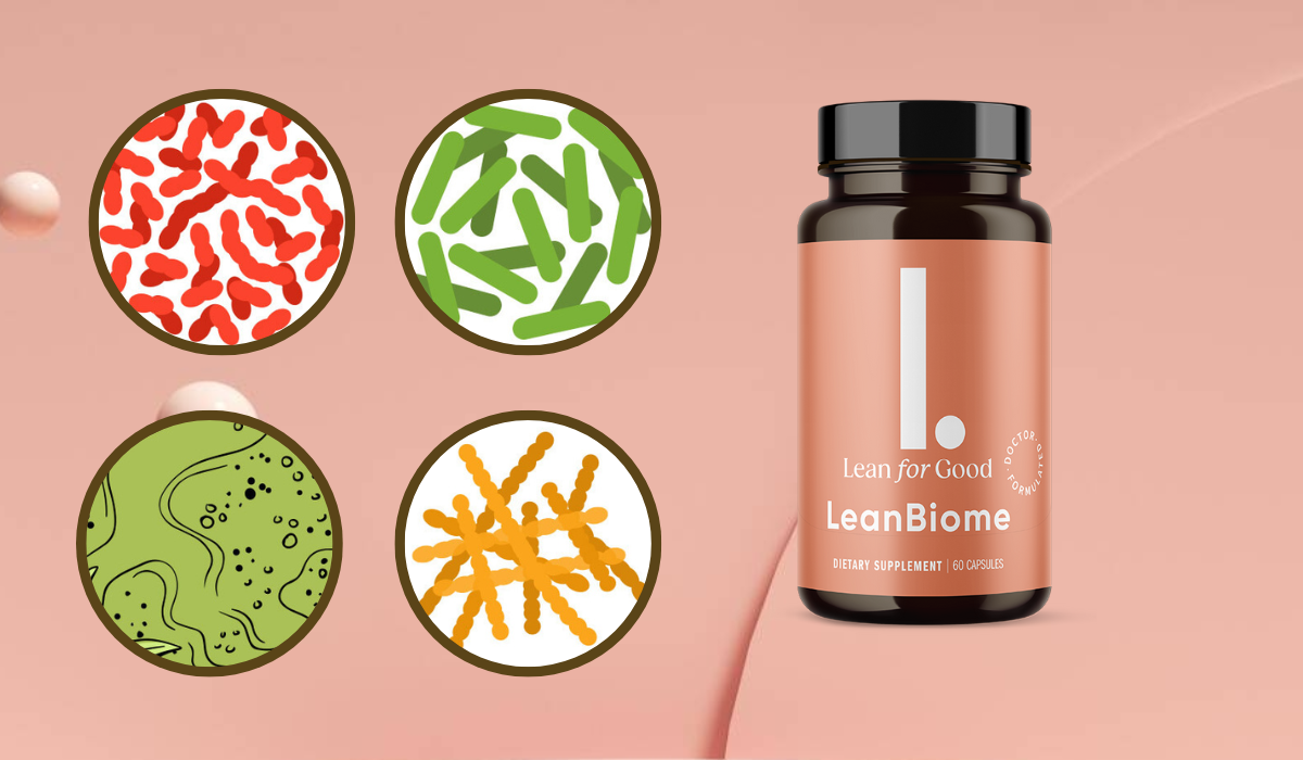 LeanBiome  Ingredients