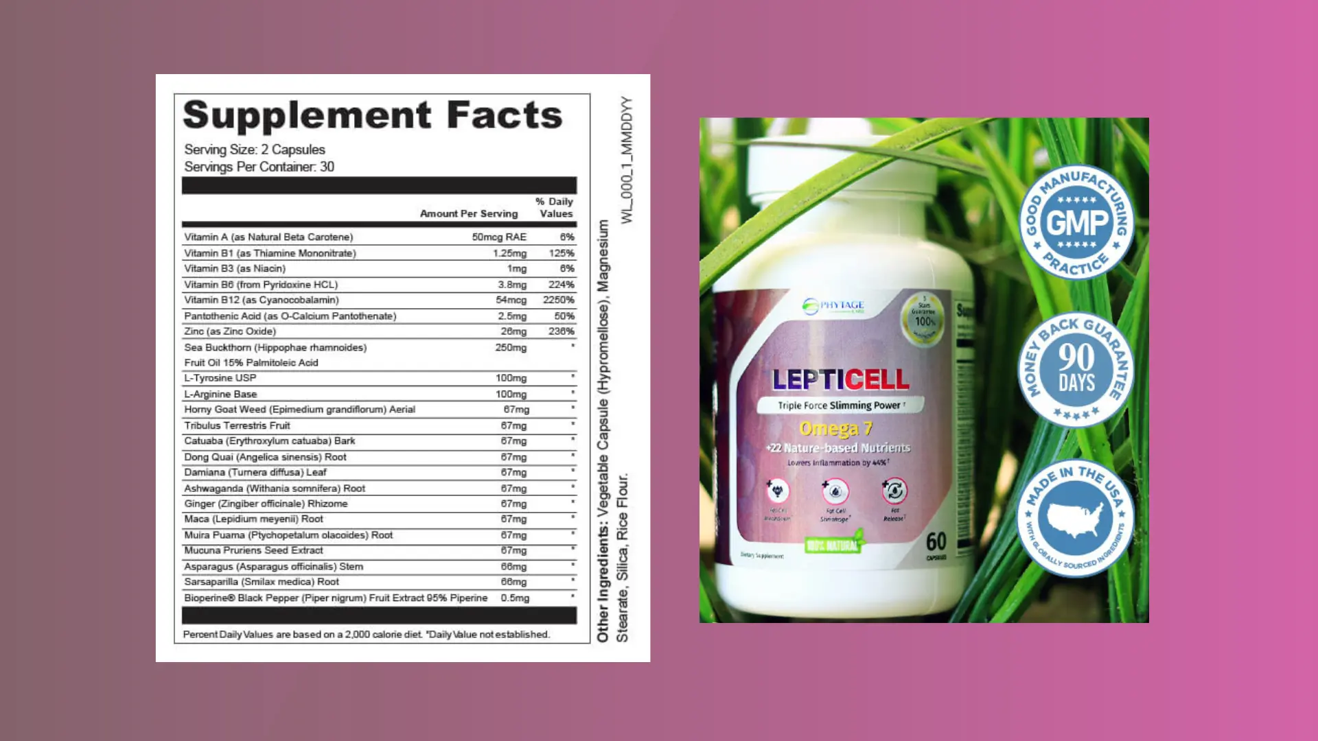 LeptiCell Ingredients