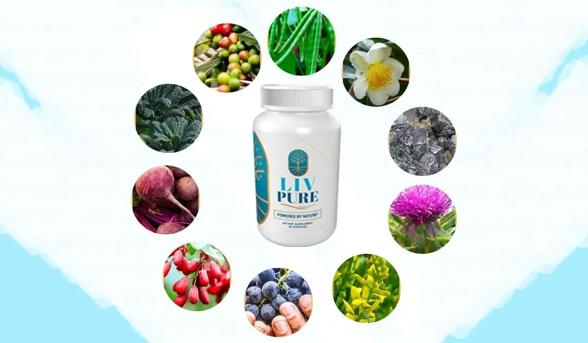 Liv Pure Ingredients