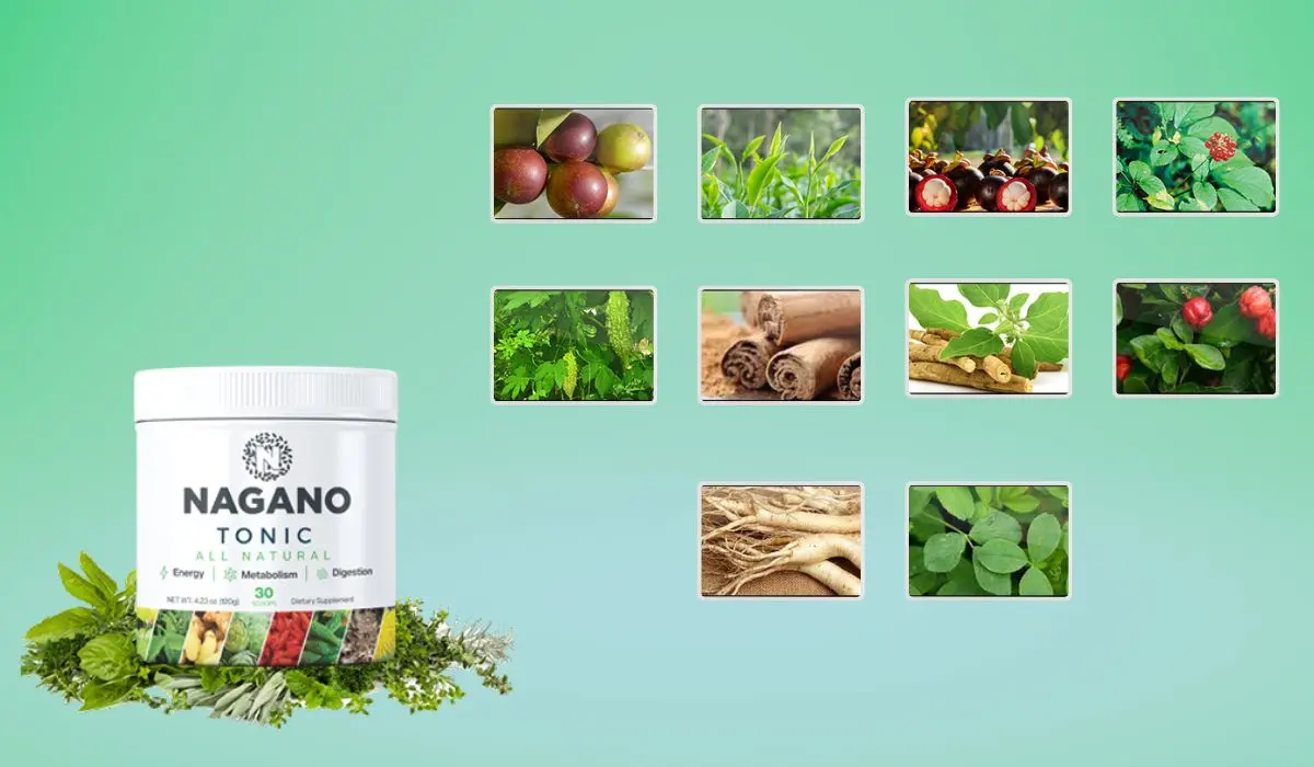 Nagano Lean Body Tonic Ingredients