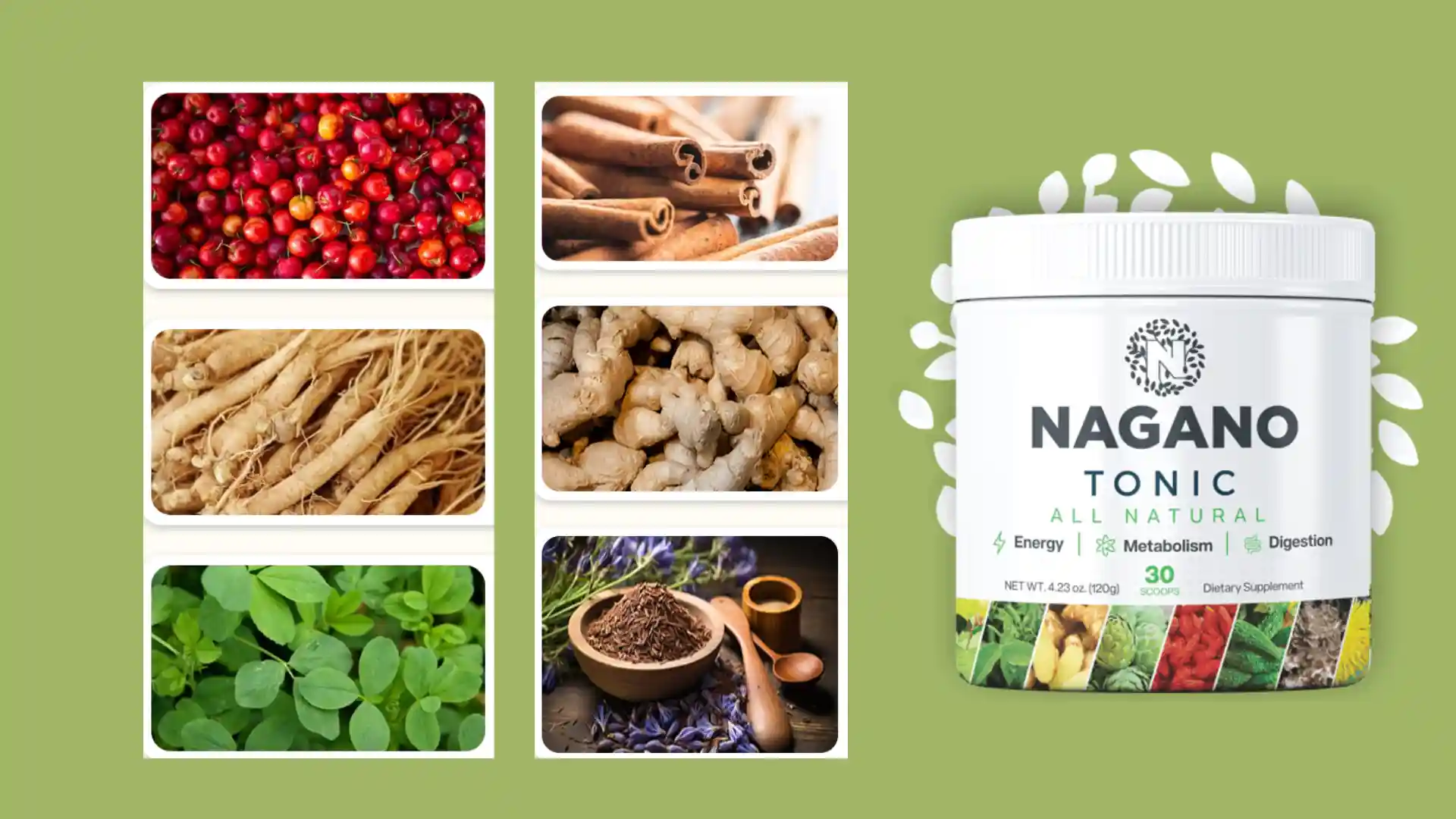 Nagano Lean Body Tonic Ingredients 