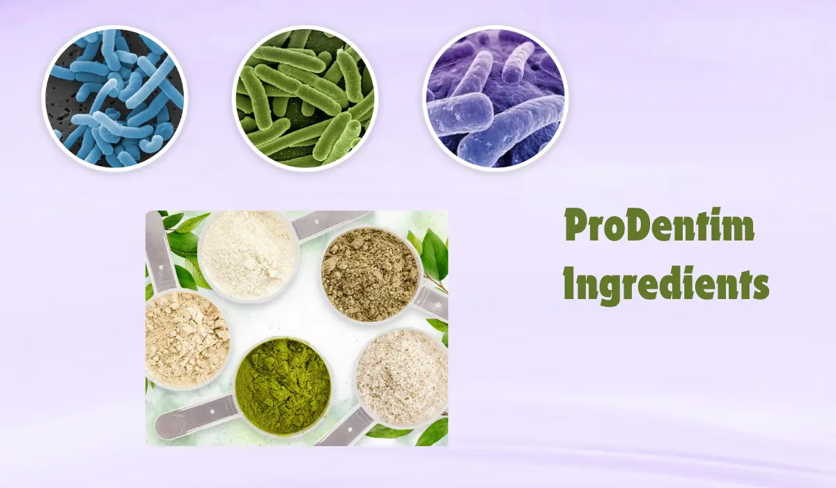 ProDentim Ingredients