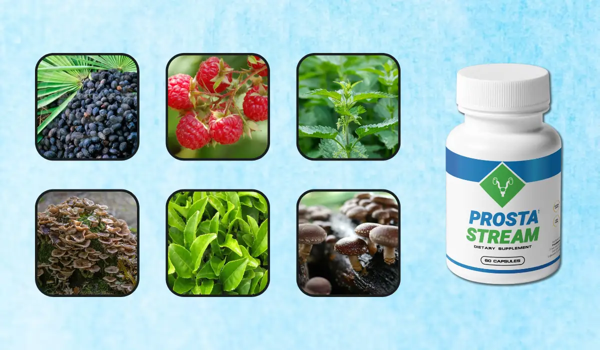 ProstaStream Ingredients