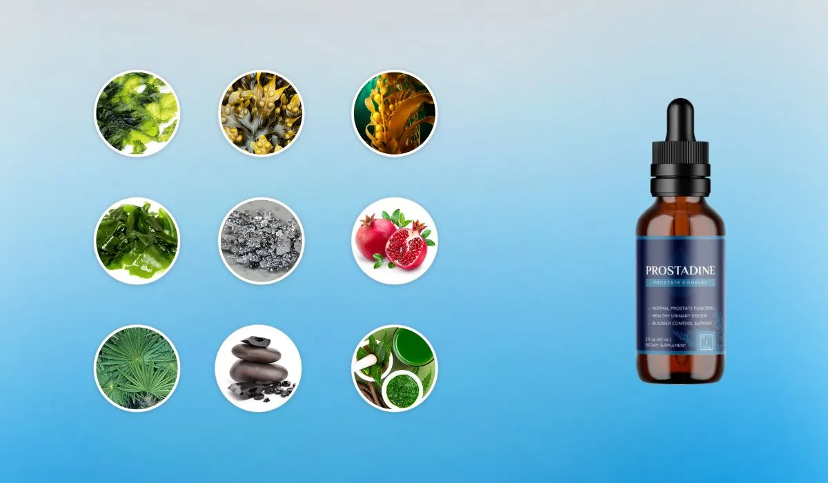 Prostadine Ingredients