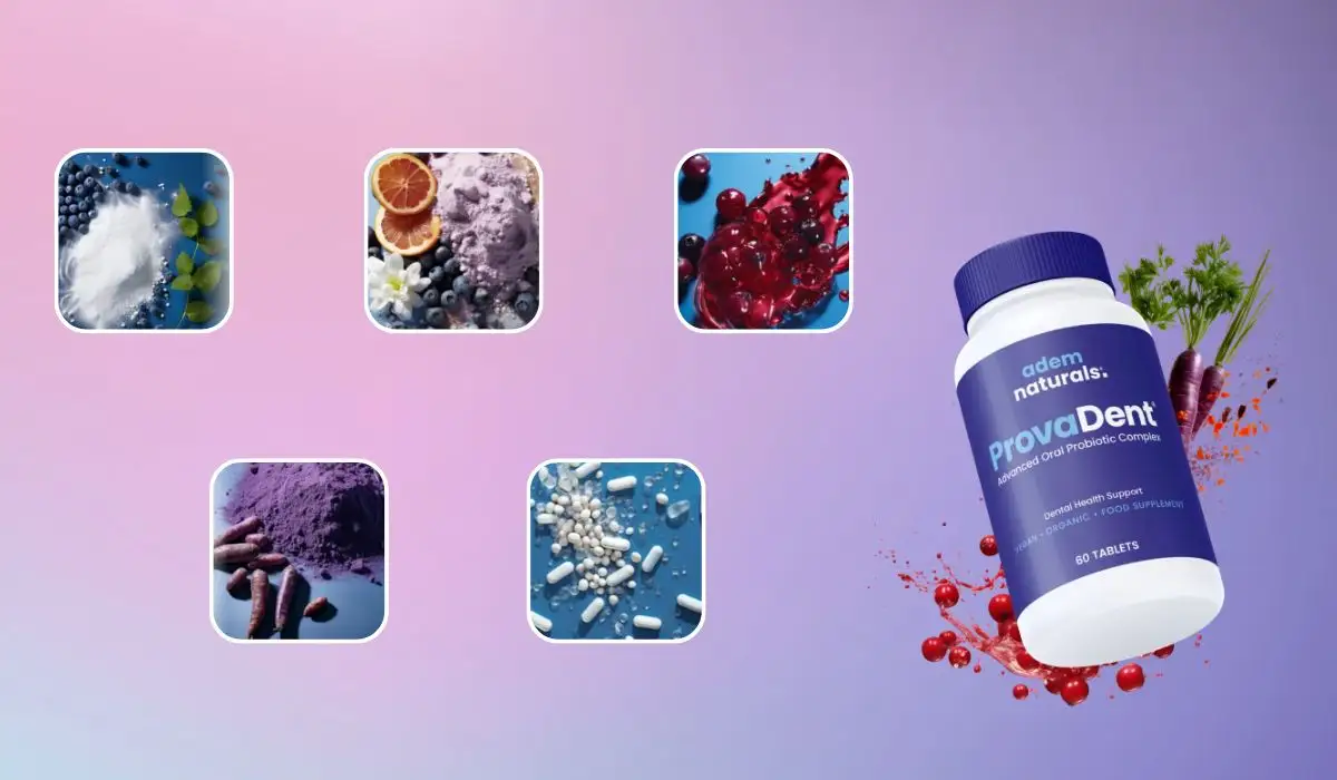 ProvaDent Ingredients