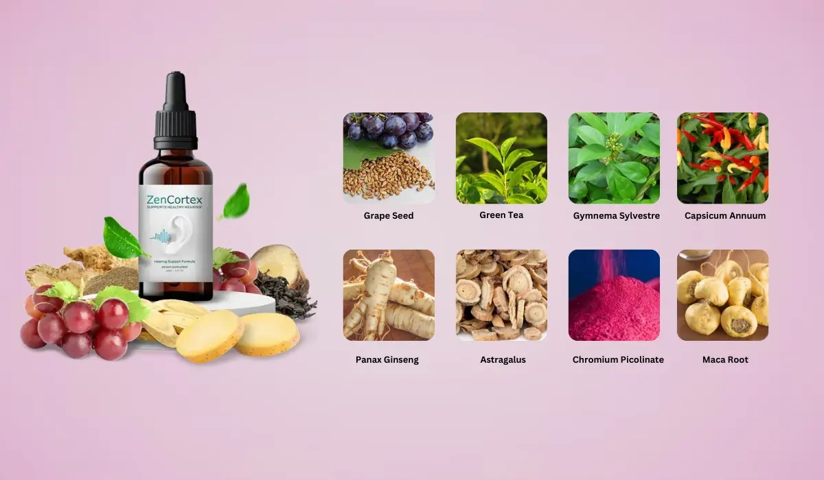 ZenCortex Ingredients