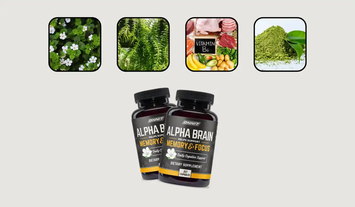 Alpha Brain Ingredients