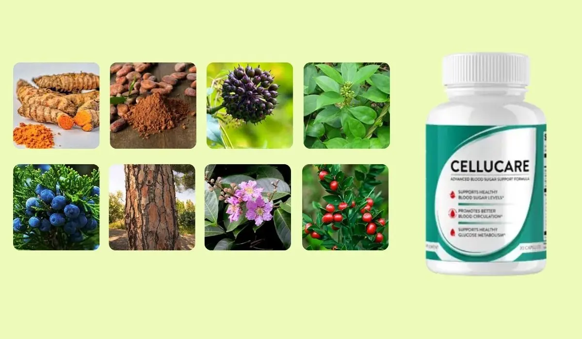 CelluCare Ingredients Blood Sugar Support Formula