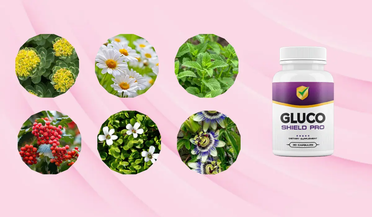 Gluco Shield Pro Ingredients