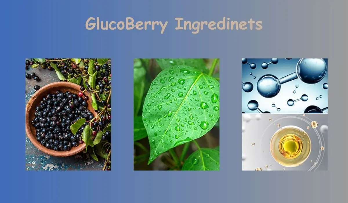 GlucoBerry Ingredients Glucose Control Supplement