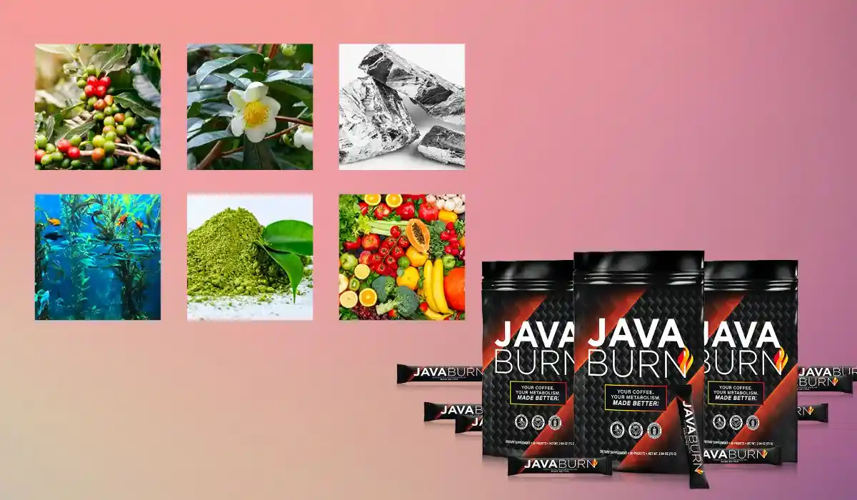 Java Burn Ingredients