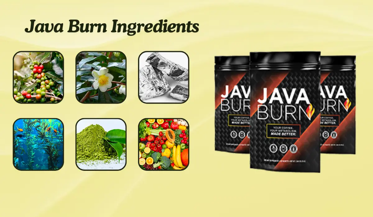 Java Burn Ingredients