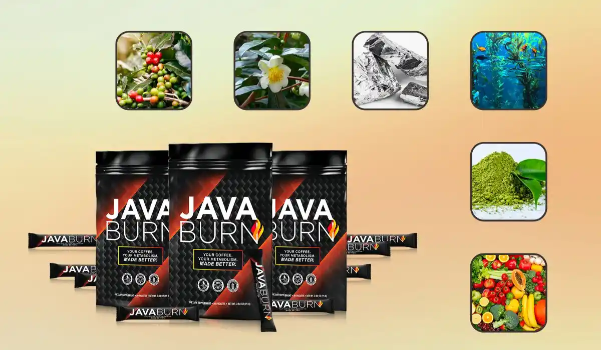 Java Burn Ingredients