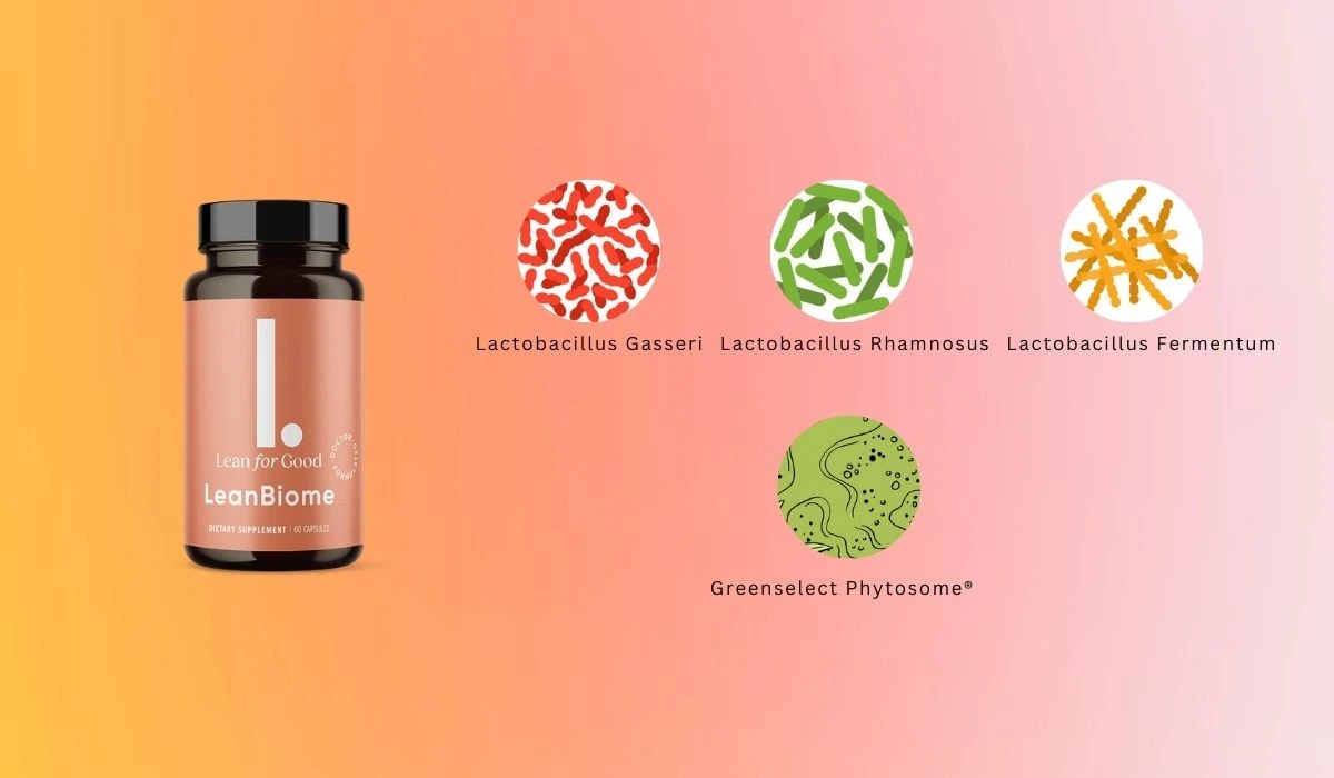 LeanBiome Ingredients