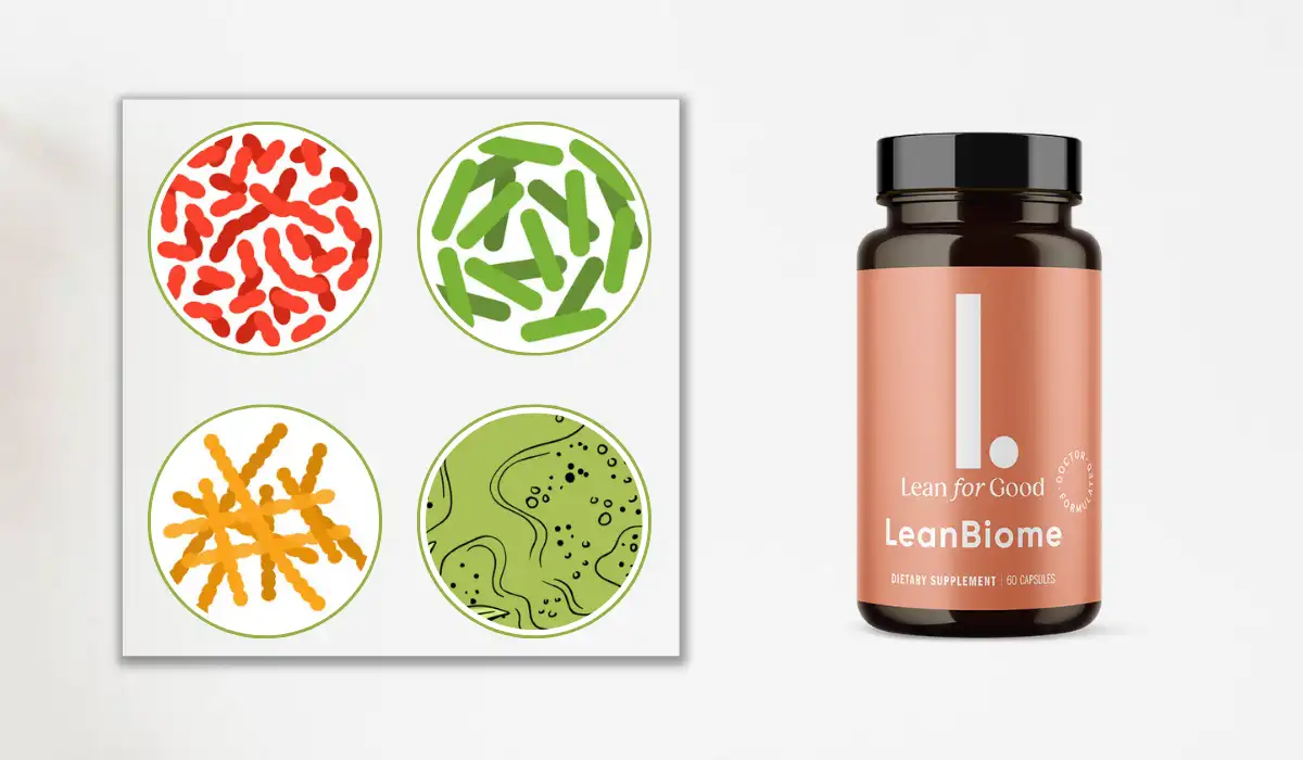 LeanBiome  Ingredients