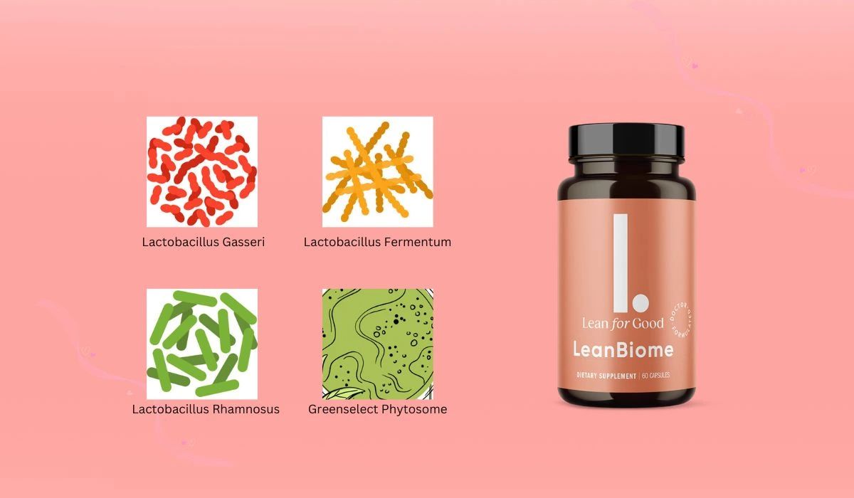 LeanBiome Ingredients