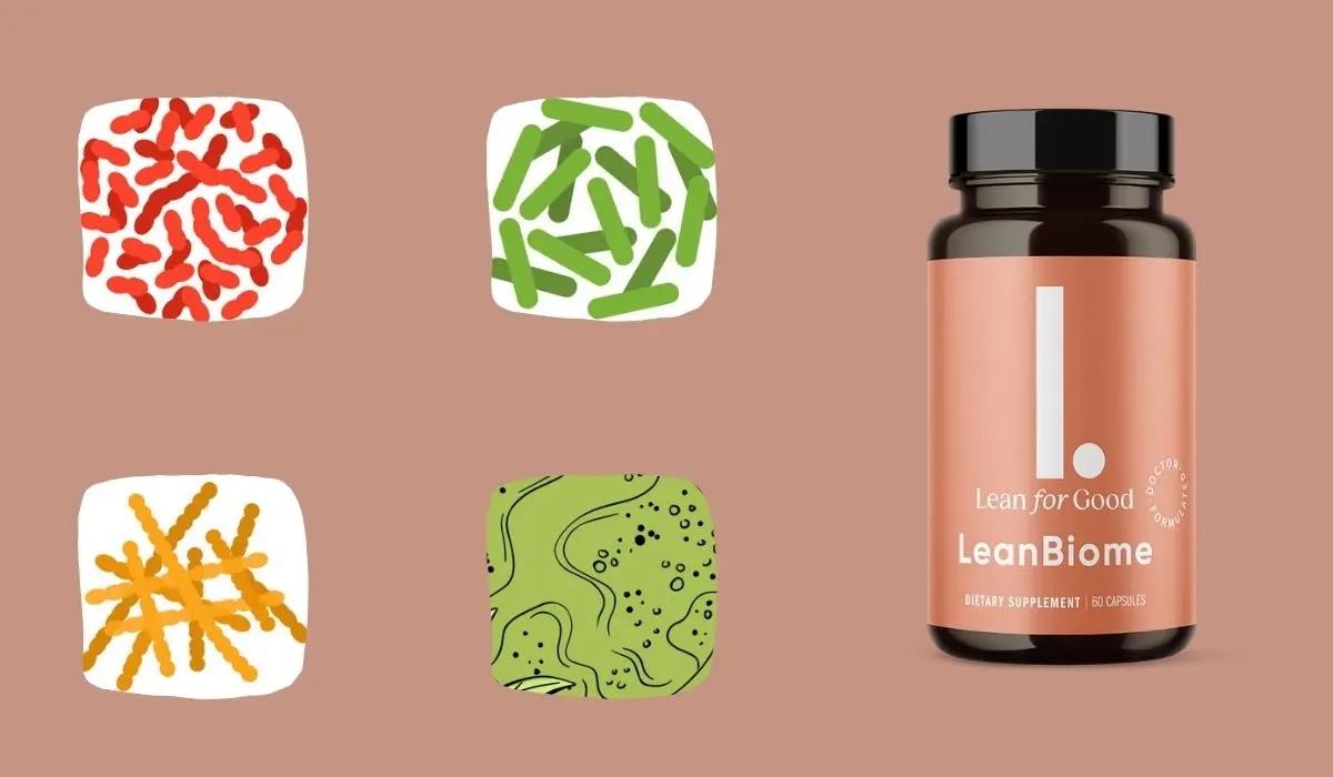 LeanBiome Ingredients List Fat-Burning Capsule