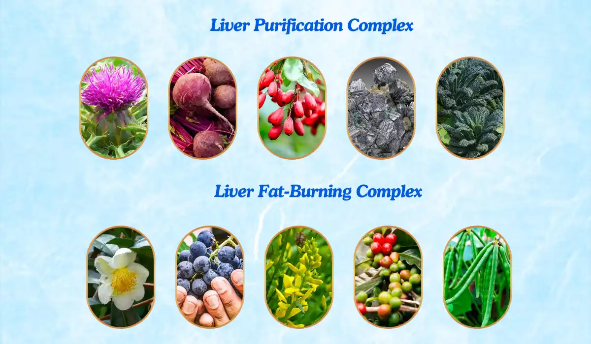 Liv Pure Ingredients