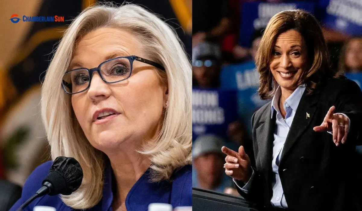 Liz Cheney Support For Kamala Harris