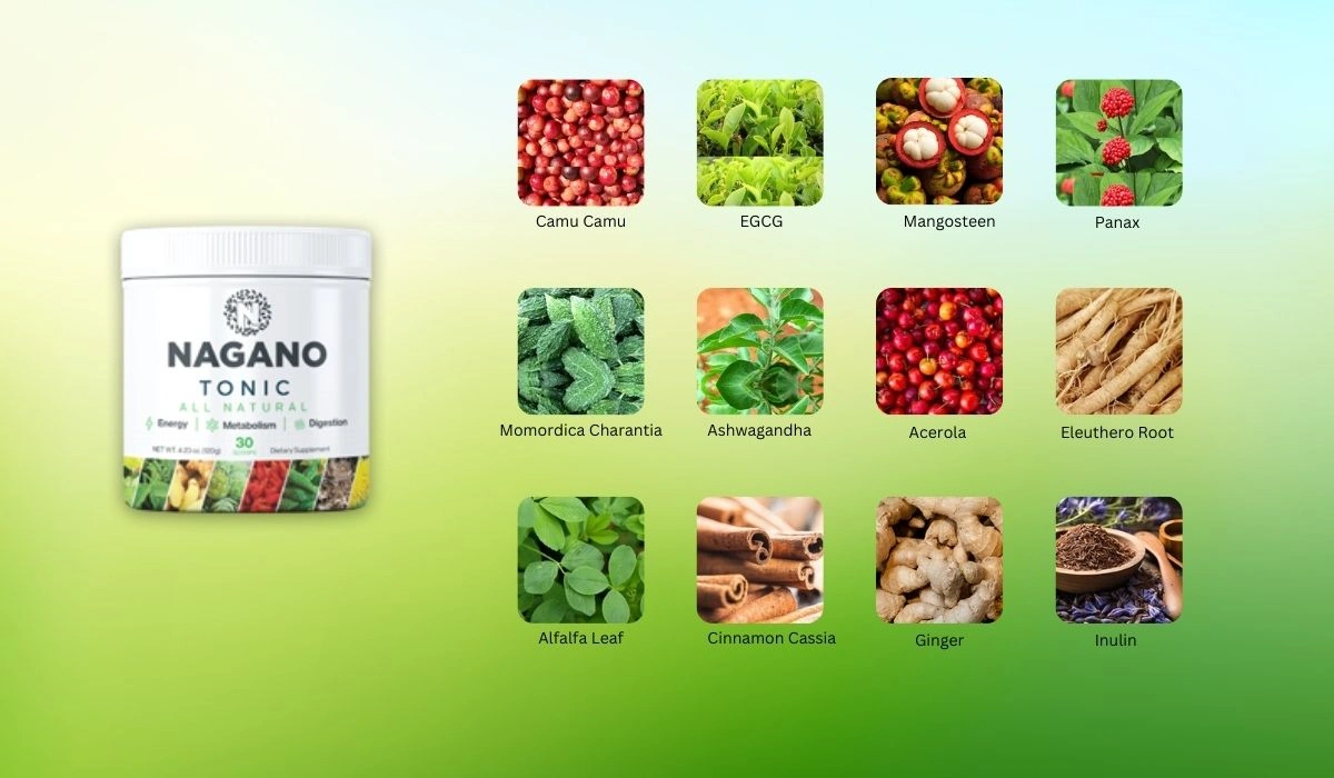 Nagano Lean Body Tonic Ingredients