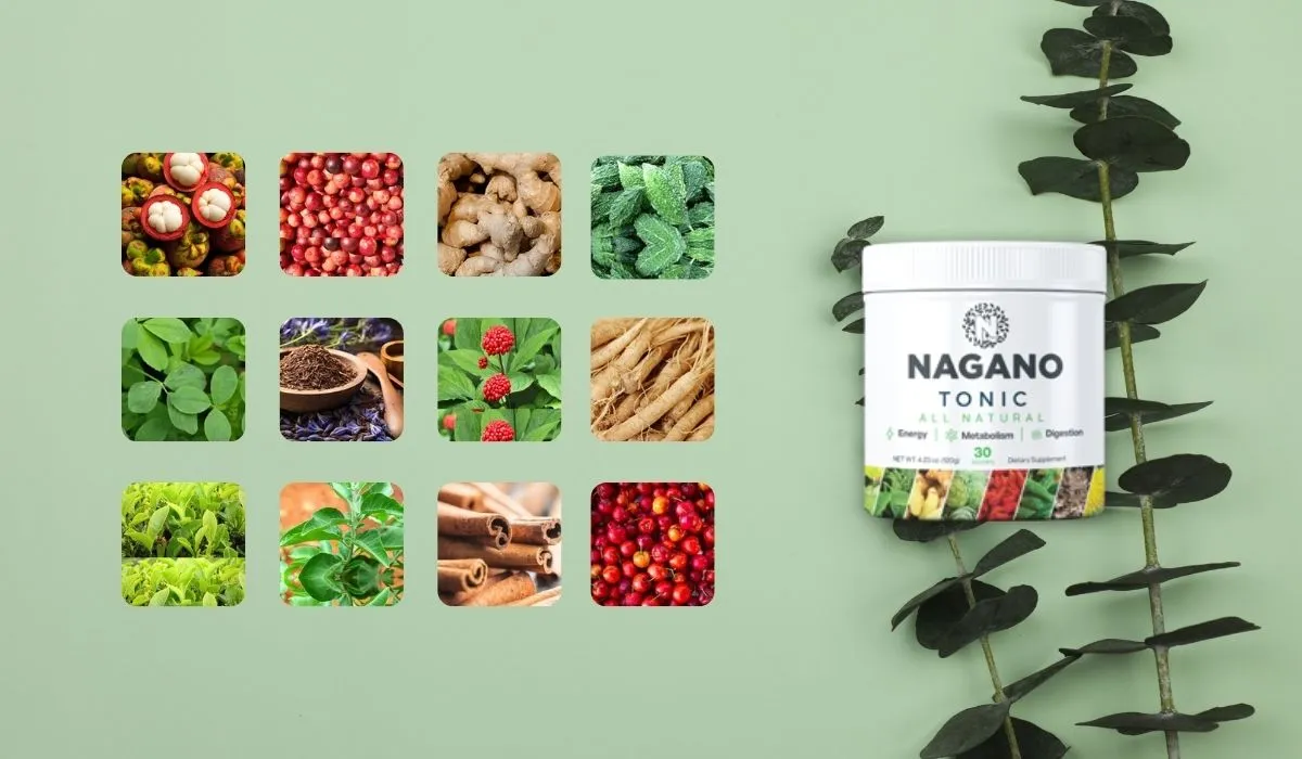 Nagano Lean Body Tonic Ingredients