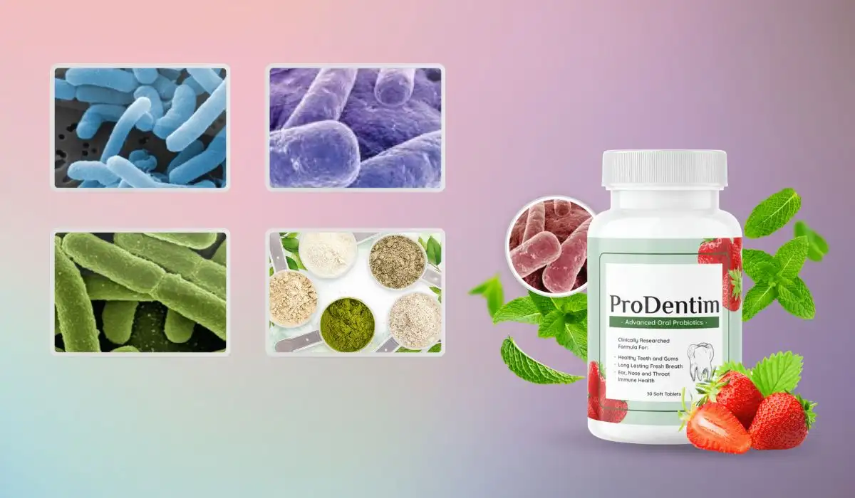 ProDentim Ingredients 