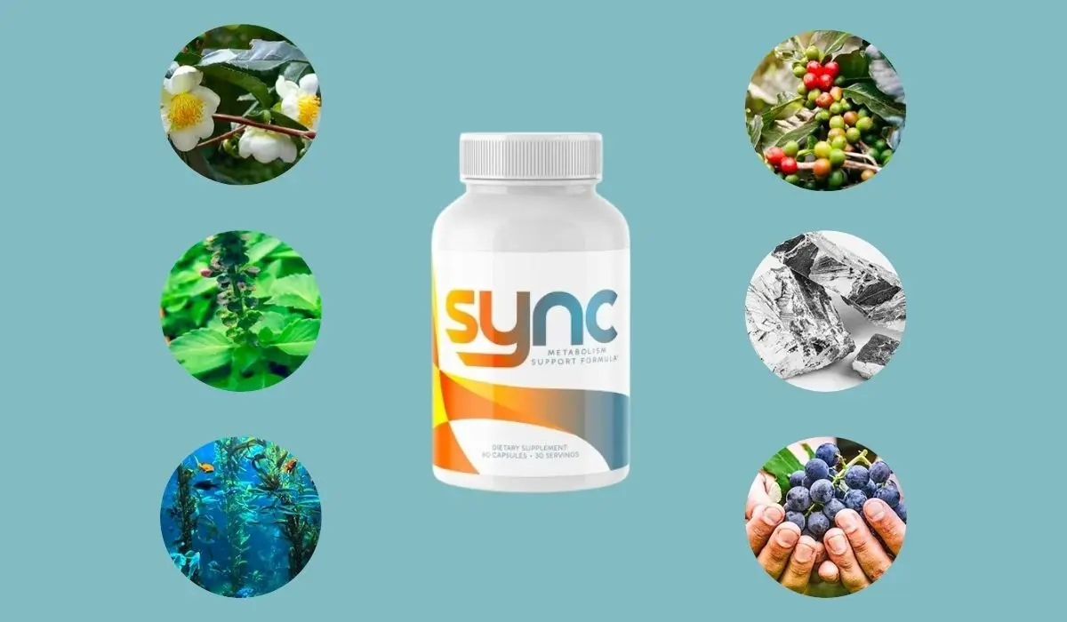 Sync Ingredients List Formula