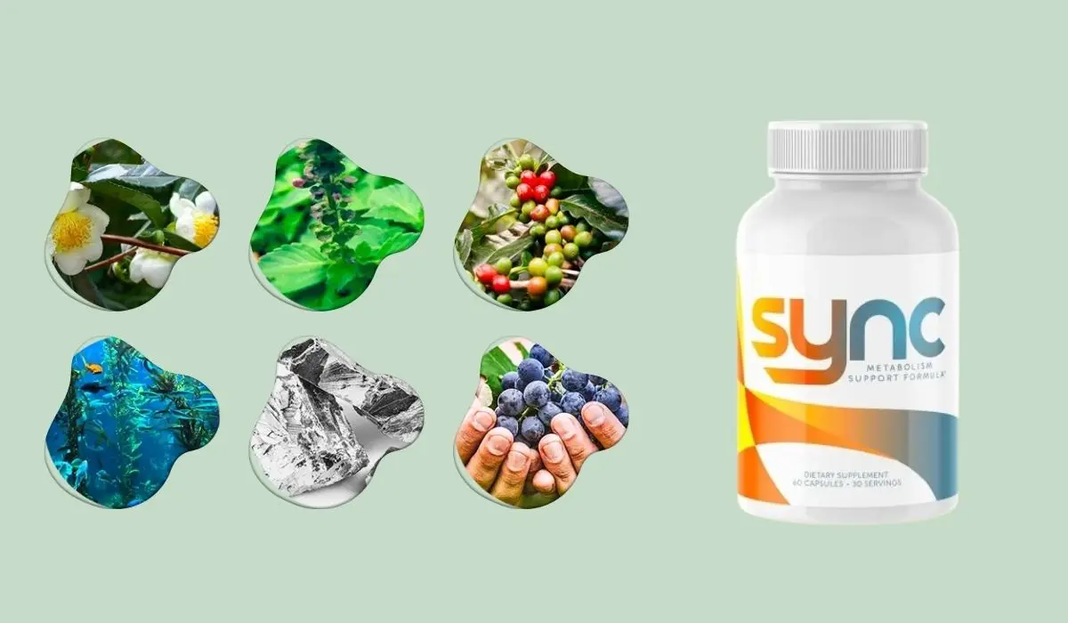 Sync Ingredients List Supplement