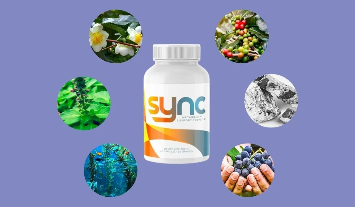 Sync Ingredients List