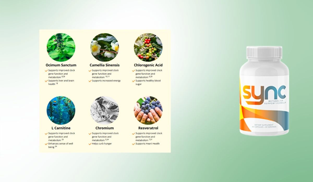 Sync Supplement Ingredients