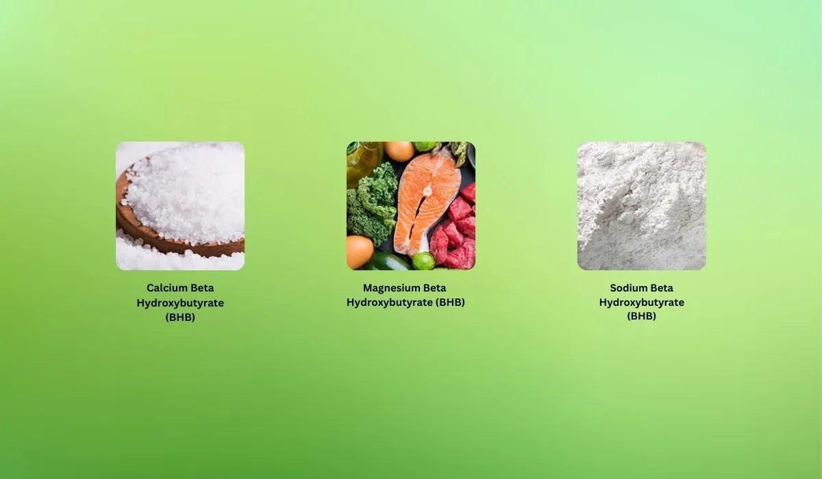 Lipozem Ingredients