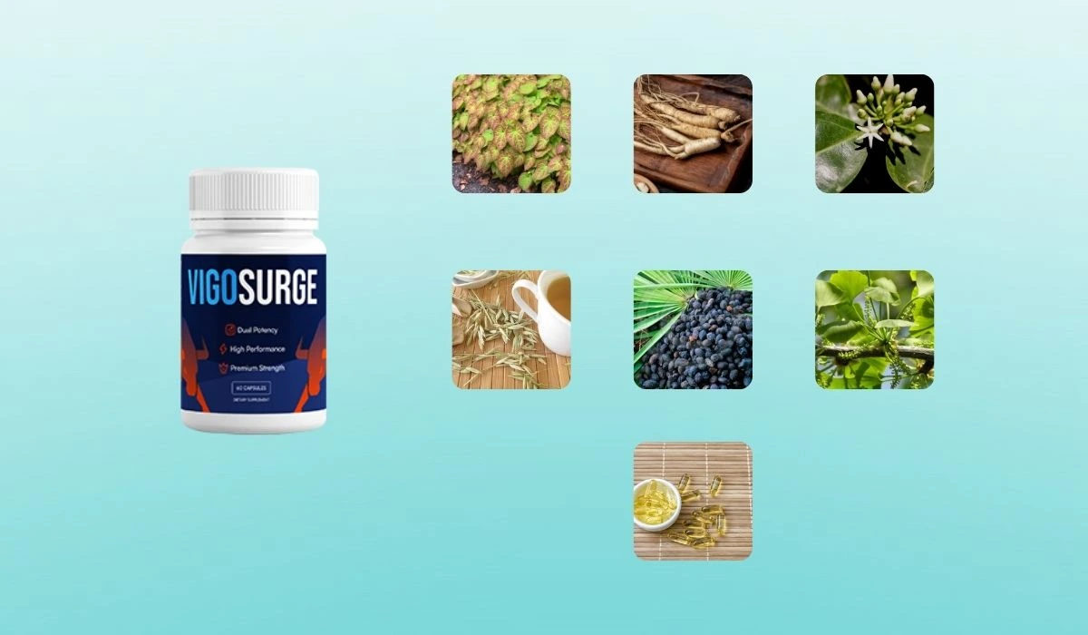 VigoSurge Ingredients