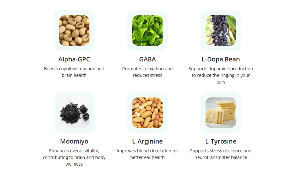 NeuroQuiet supplement ingredients