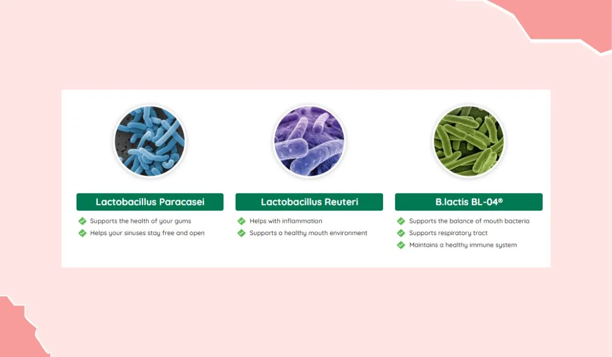 ProDentim Ingredients