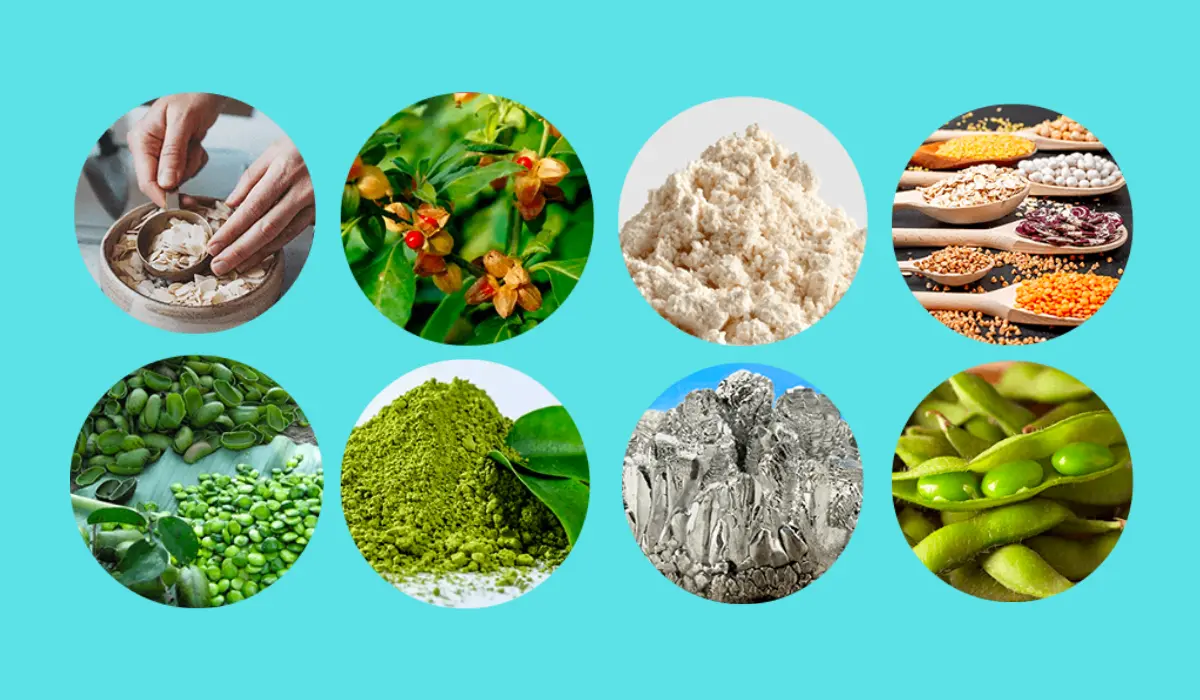 Renew Supplement ingredients