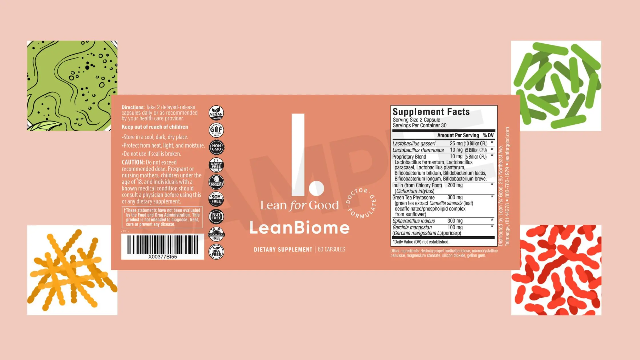 LeanBiome Ingredients