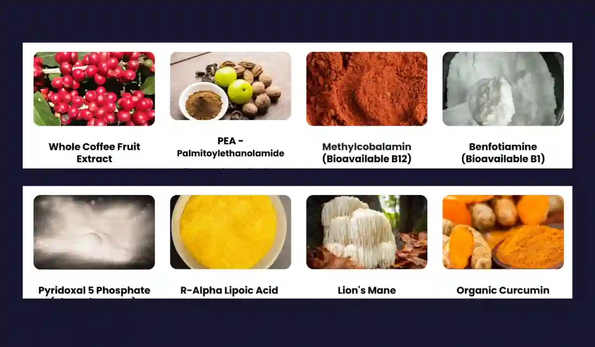 Nu Nerve Ingredients